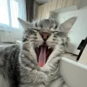 scweezy_inactive6247696