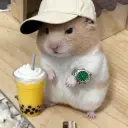 любительХомиака