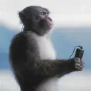Lolz profile picture for @mentally