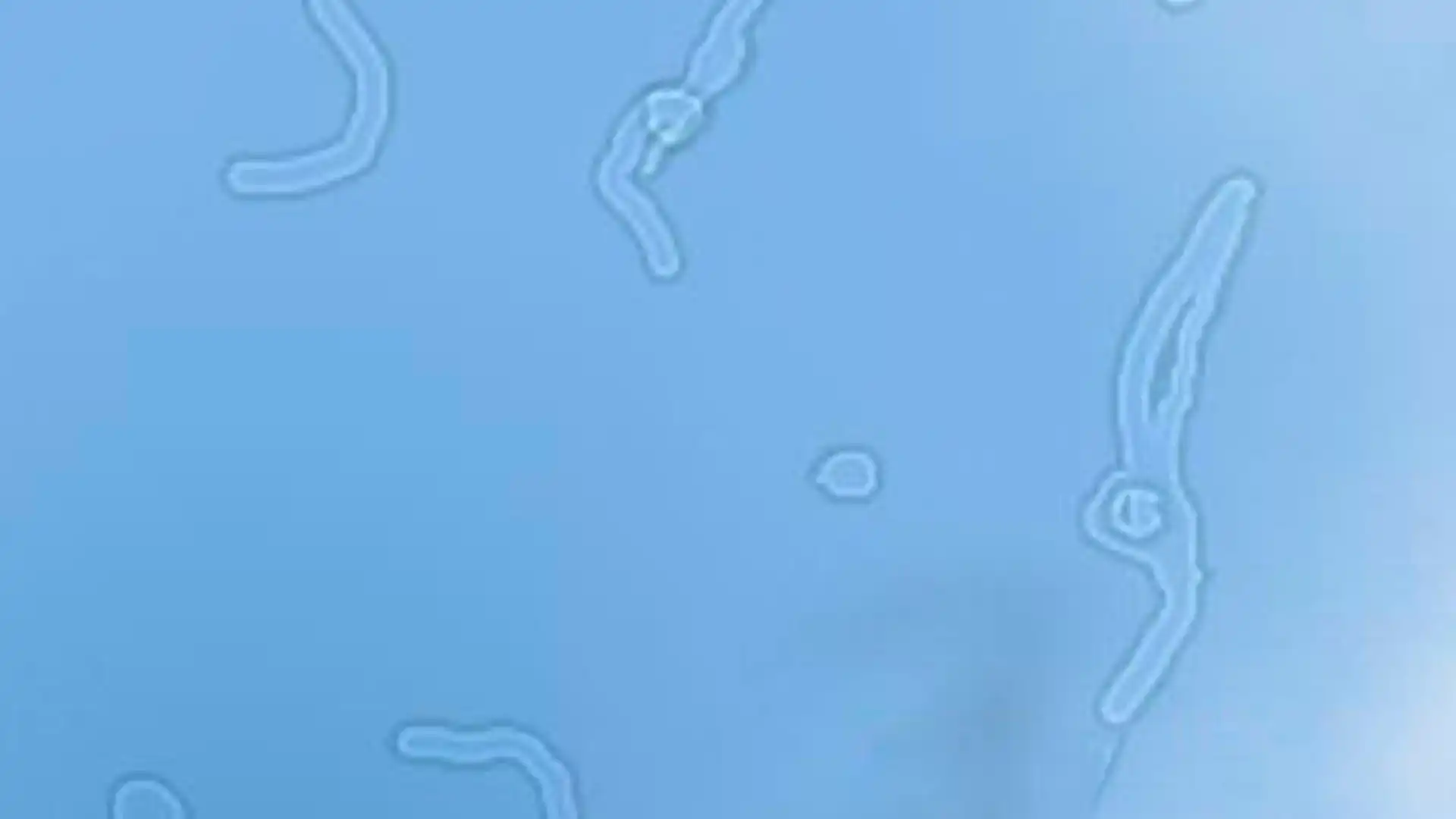 герман львович стерлигов с табличкой. герман стерлигов пидорасам. идеи для вирта. нетрадиционная ориентация. объявление пидорасов.