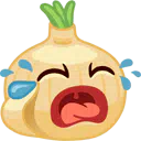 :onion:
