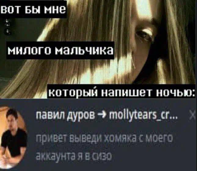 Комбо хамстер 1 августа