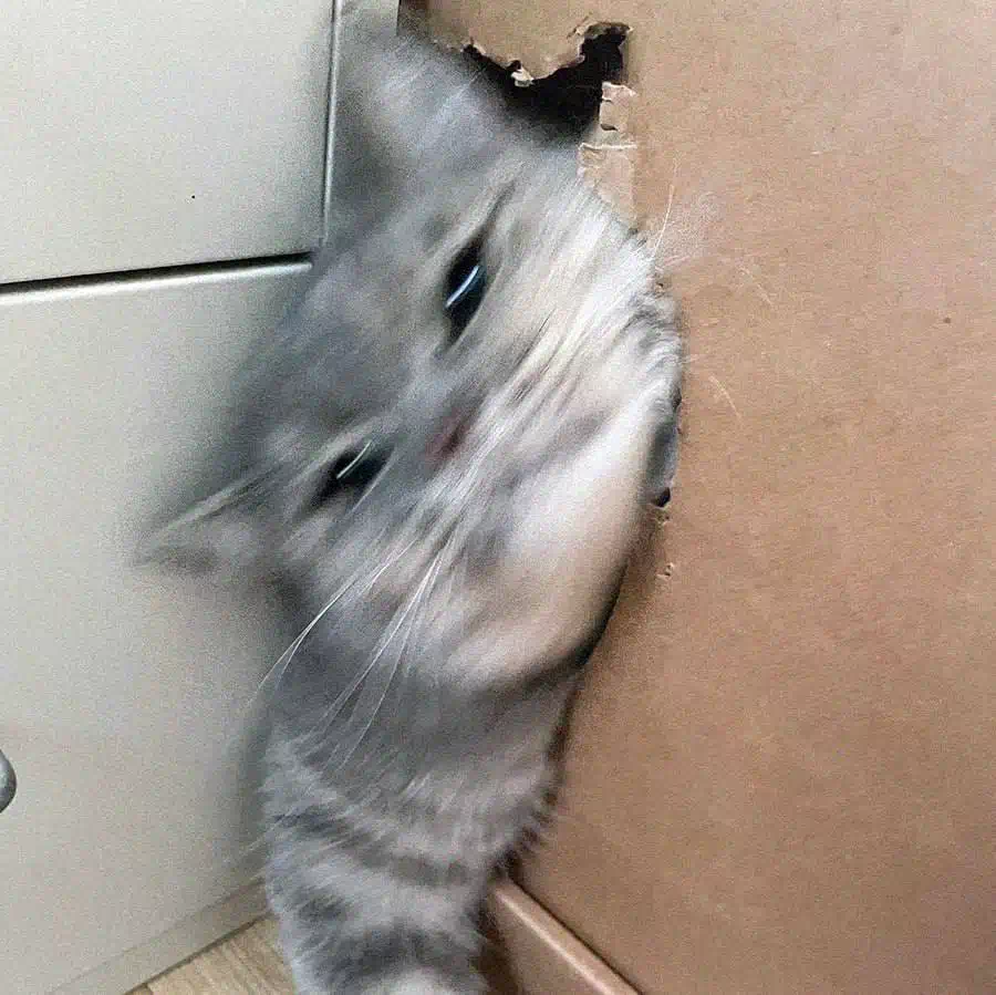 То там делаешь. Батя и травы мем. Ты что там делаешь мем. То там делаешь. Следящие глаза.