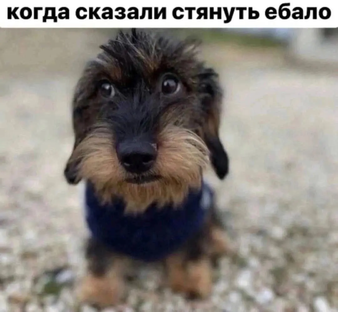 Чулкастая словила спермака на еблет Чулкастая словила спермака на еблет