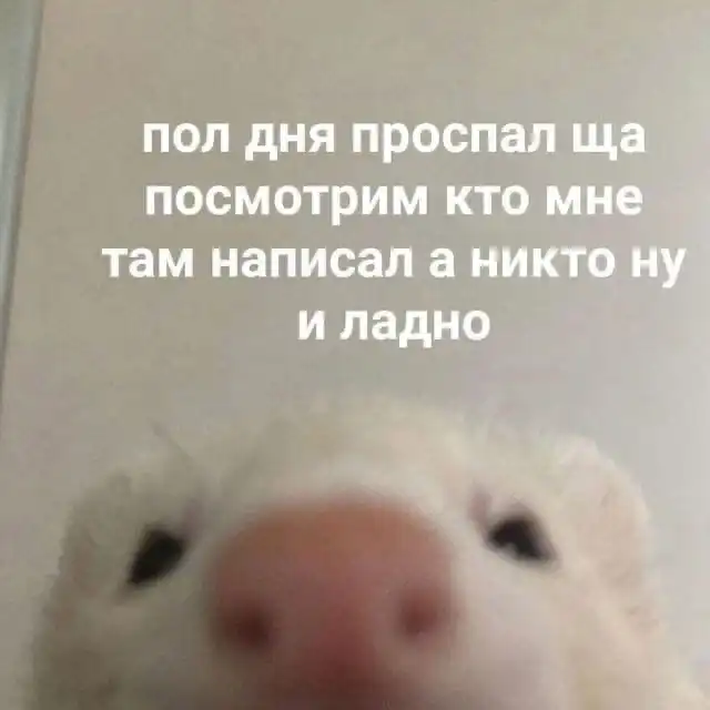 тоже также как пишется. число и цифра не одно и тоже. метаграммы по русскому языку с ответами 3. 1 и тоже получается. тоже и то же правило написания.