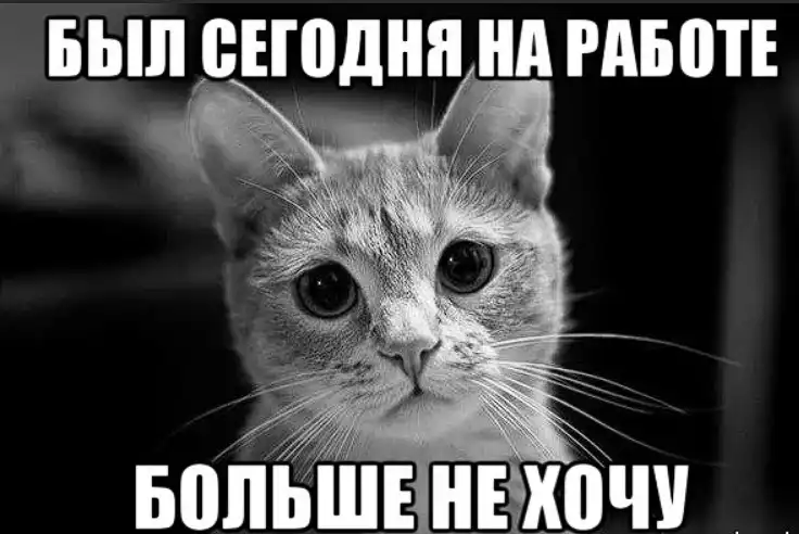 Не хочу на работу. Мем не хочу на работу. Не хочу Мем с котом. Не желаю кот Мем. Хочу домой Мем.