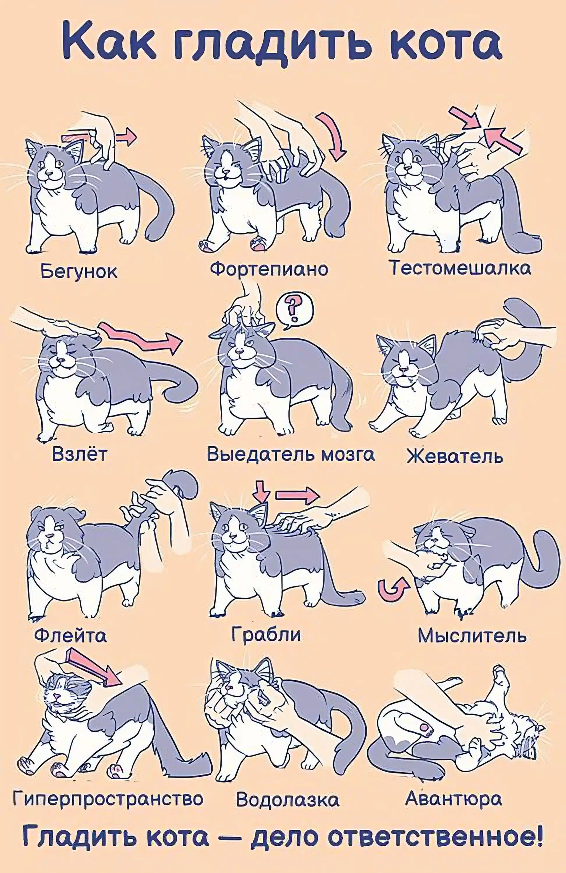 Сайт Где Можно Погладить Картинку