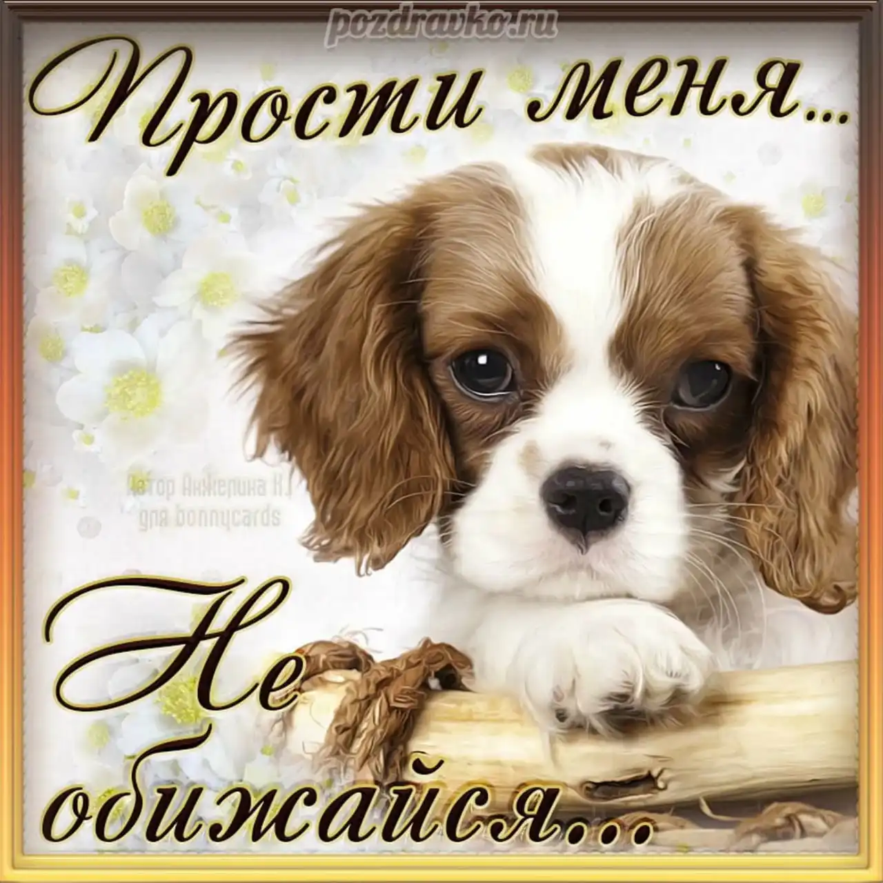 Картинки с надписью прости меня пожалуйста