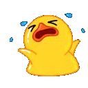 :duck_cry2:
