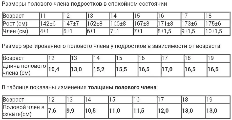 Фото мужских членов (57 картинок) — Пошлые рассказы