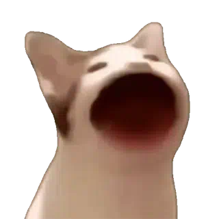 Pop cat