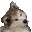 :cutedog: