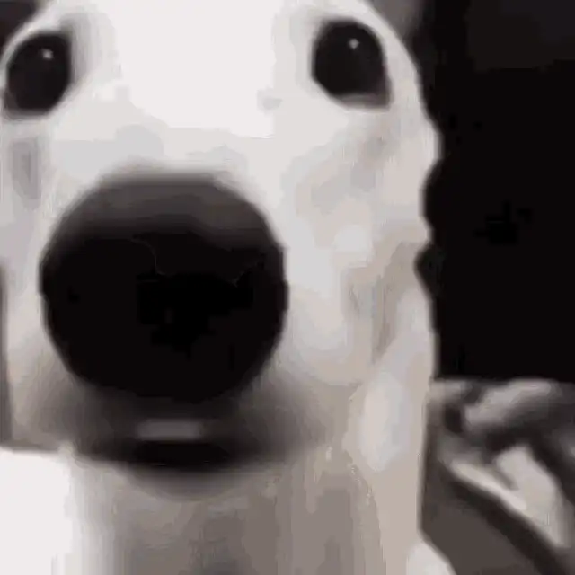 Дрожат зубы