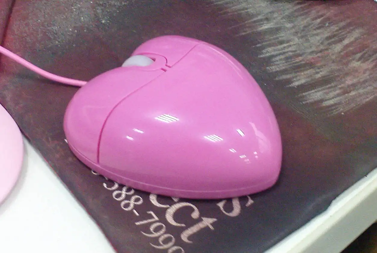 Shayla The Pink Mouse