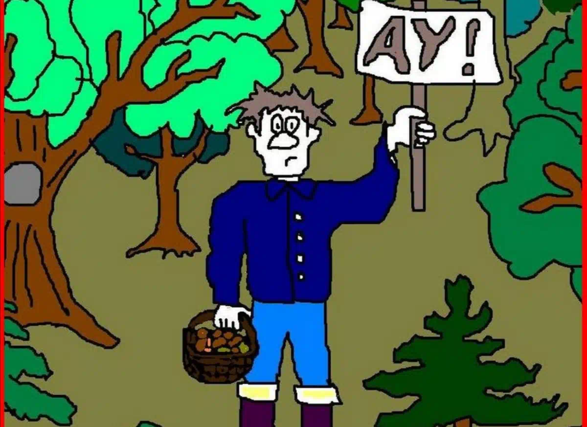 Я искал заблудился. Я искал заблудился. Я заблудился мем. Не заблудиться в лесу. Если вы заблудились в лесу мем.