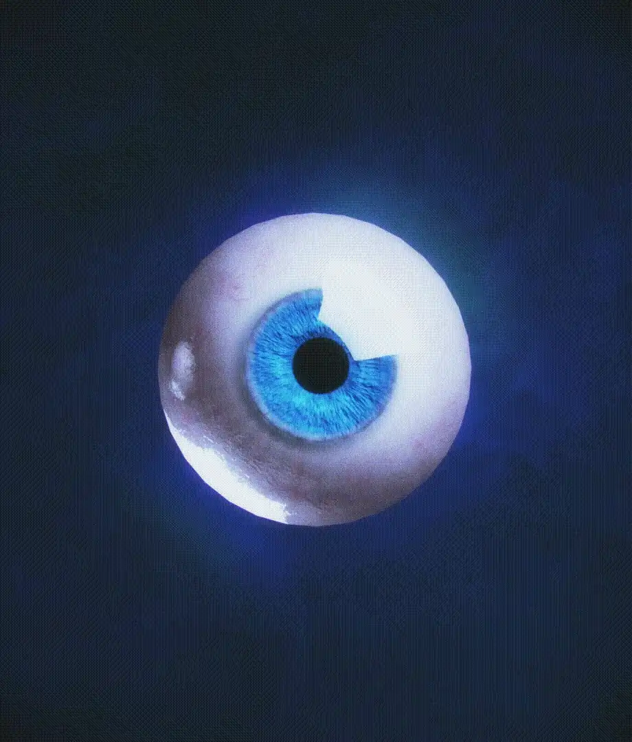 [IMG]