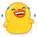 Duck laugh