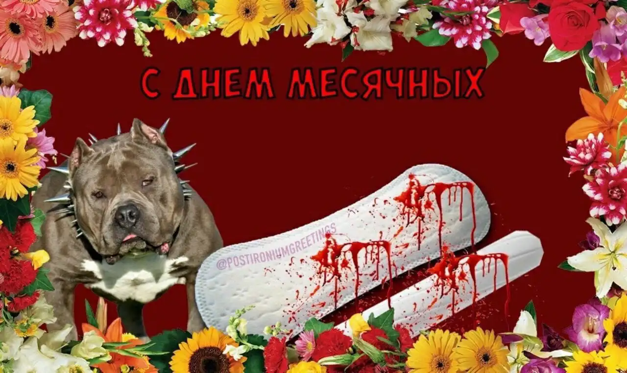 Мем первый день месячных
