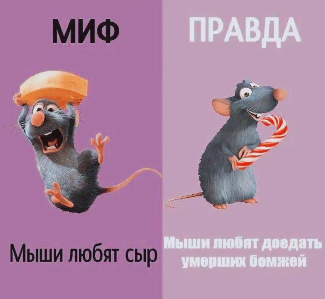 Мэм с фастом , здесь и сейчас. 