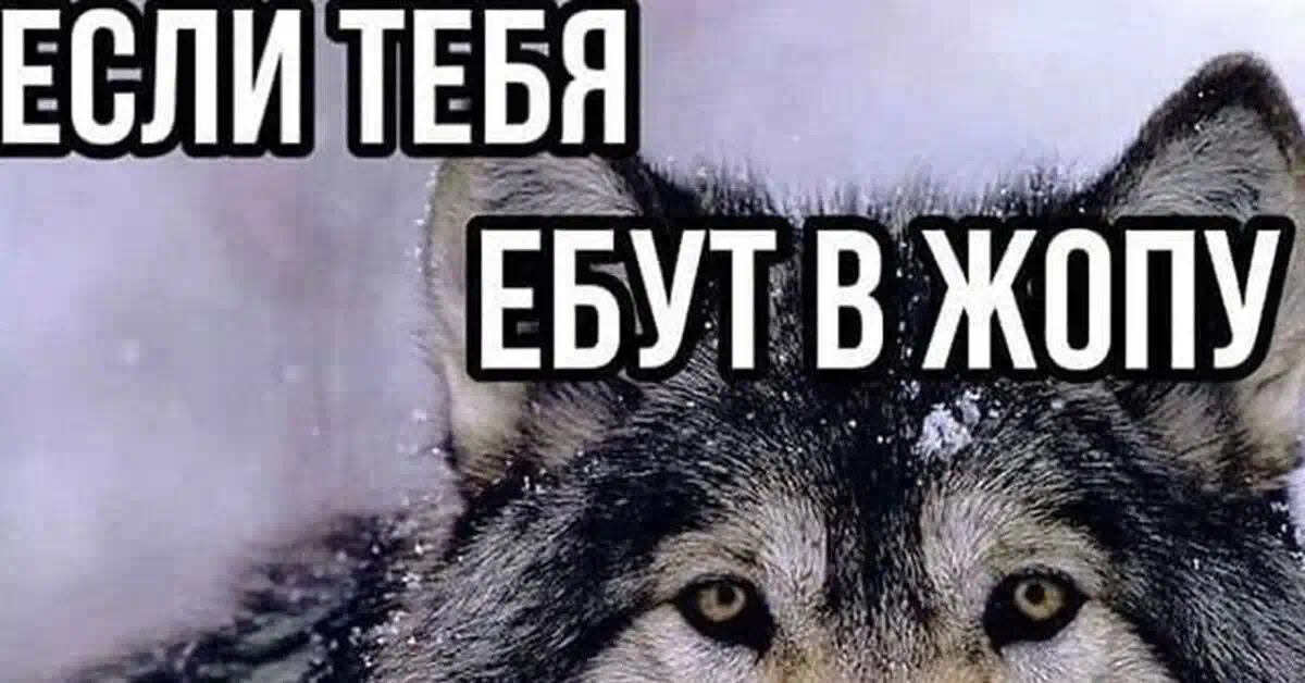 Скачать Песню Я Рвут Целку Скачать Песню Я Рвут Целку