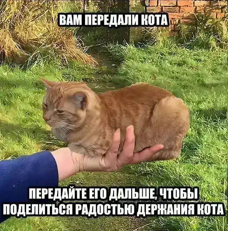 Постоянно пока