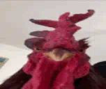 :rooster_talk: