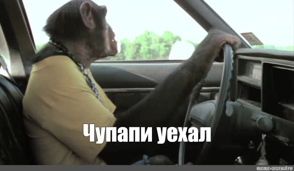 Чупапи муняню чупапи муняне чупапи муняню. Чупапи муняня. чупани муняне мем. мемы чупапи. чупапи муняня мем с обезьяной.