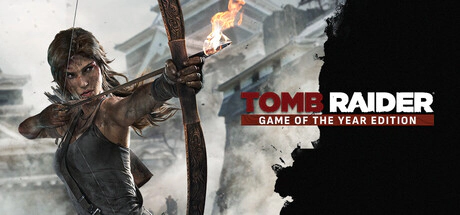 Tomb Raider Runes Account Steam Dota 2 1098 hours | 661 matches | 325 wins | Steam Guard ...