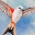 Wingspan