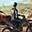 MX vs ATV Legends