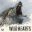 WILD HEARTS