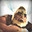 Age of Mythology: Extended Edition