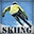 Fancy Skiing VR