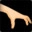 Hand Simulator