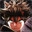 BLACK CLOVER: QUARTET KNIGHTS